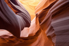 Canyon (Antelope Canyon)