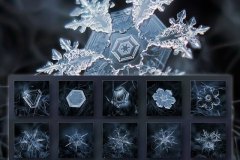 Snowflakes